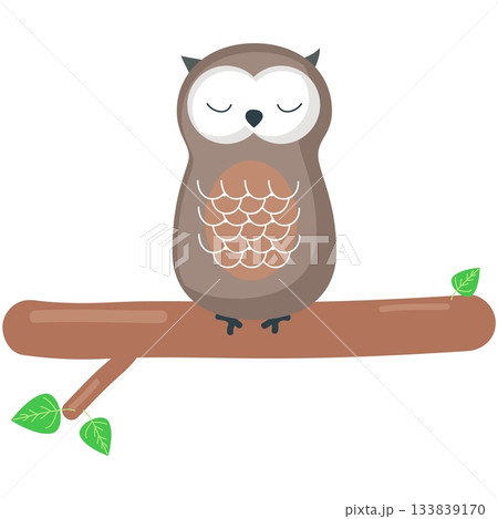 Owl sleep vector, cartoon night bird icon Owl sleep vector, cartoon night bird icon 133839170