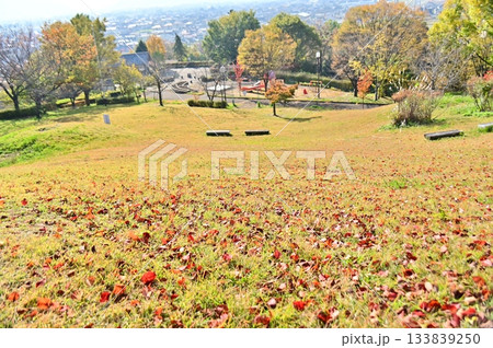 落ち葉と草もみじに覆われた公園の斜面の広場 133839250