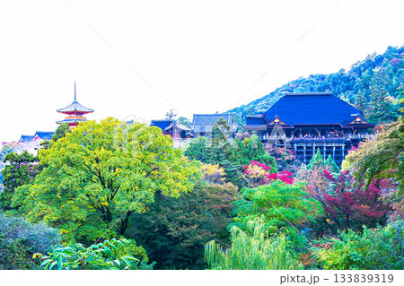 京都、紅葉の清水寺 133839319