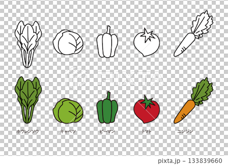 Illustration set of vegetables Illustration set of vegetables 133839660