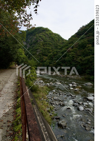 福知山線廃線敷ウォーク(2025年11月) 福知山線廃線敷ウォーク(2025年11月) 133839823