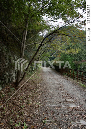 福知山線廃線敷ウォーク(2025年11月) 福知山線廃線敷ウォーク(2025年11月) 133839825
