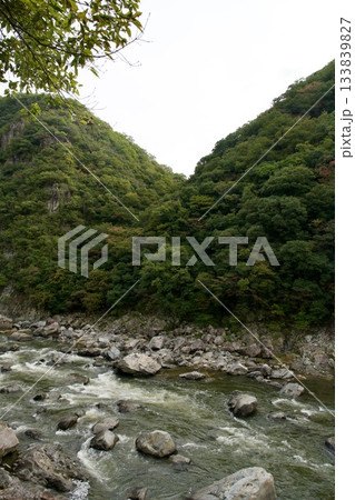 福知山線廃線敷ウォーク(2025年11月) 福知山線廃線敷ウォーク(2025年11月) 133839827