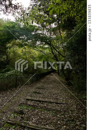 福知山線廃線敷ウォーク（2025年11月） 133839835