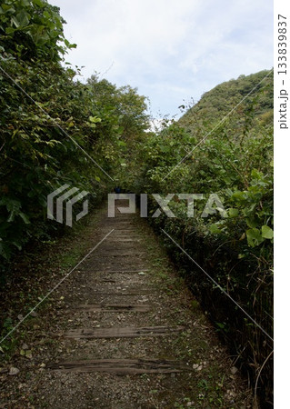 福知山線廃線敷ウォーク（2025年11月） 133839837