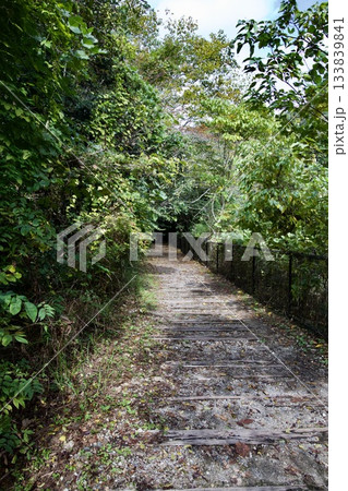 福知山線廃線敷ウォーク（2025年11月） 133839841