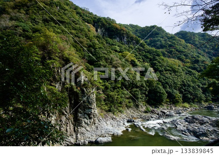 福知山線廃線敷ウォーク（2025年11月） 133839845