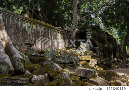 Giant tree roots growing over ancient stone wall and pile of mossy rubble at Ta Prohm temple ruins in jungle 133840119