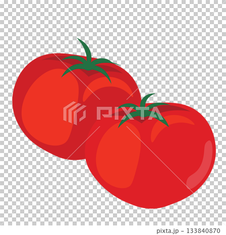 Illustration of two bright red tomatoes lined up 133840870