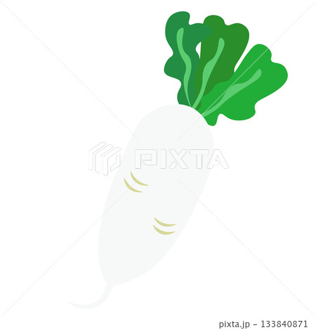 シンプルな大根のイラスト 133840871