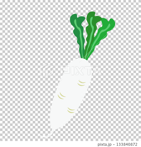 Simple long radish illustration 133840872