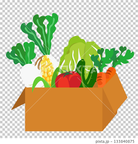 裝在紙箱裡的蔬菜示意圖 133840875