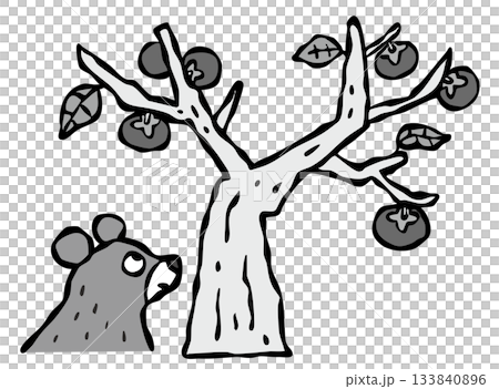 A bear comes down to the village. 133840896