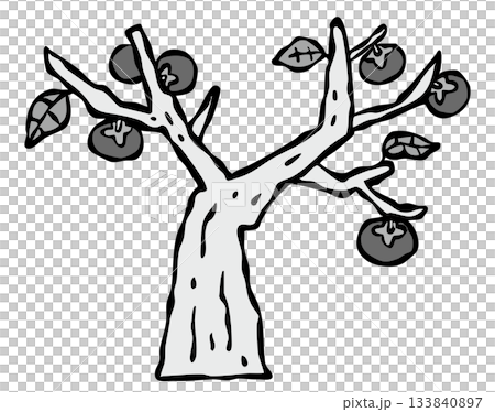 Persimmon tree in a private home Fruit tree 133840897
