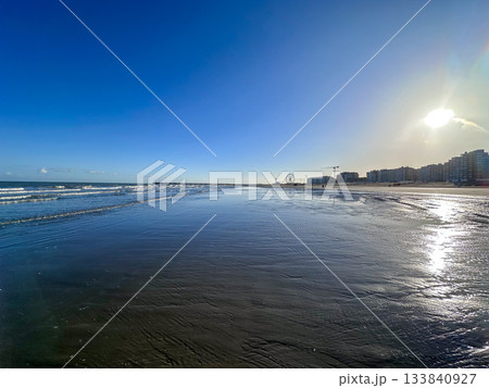 Spacious shimmering coastal plain beneath clear sky and sunlight 133840927