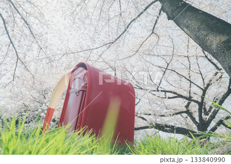 桜と赤いランドセル 桜と赤いランドセル 133840990