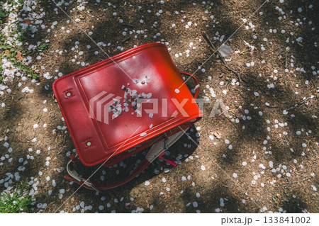 赤いランドセルと桜の花びら 133841002