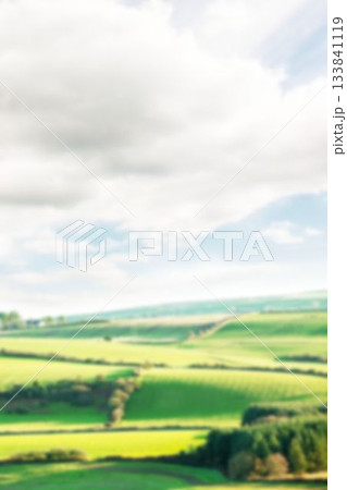 Scenic view of grass field against sky 133841119