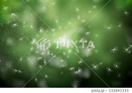 Digitally generated dandelion seeds on green background Digitally generated dandelion seeds on green background 133841333