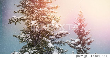 Snow covered trees during winter 133841334