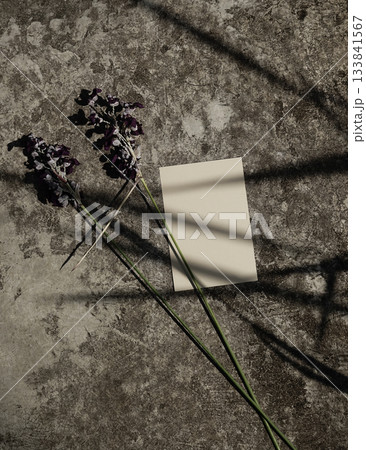 Organic real photograph light shadows brown blank card mock up flat lay rustic concrete background Organic real photograph light shadows brown blank card mock up flat lay rustic concrete background 133841567