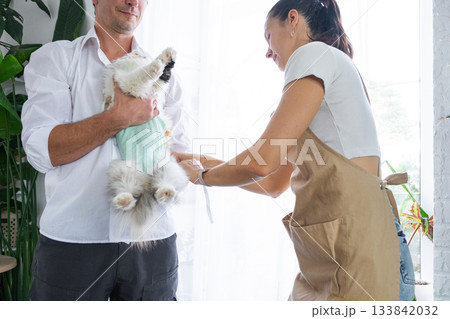 A veterinarian at home checks the health of a bandaged cat in a blanket after a sterilization operation, together with a female assistant A veterinarian at home checks the health of a bandaged cat in a blanket after a sterilization operation, together with a female assistant 133842032