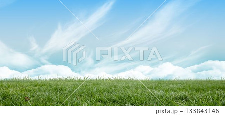 Lush green grass is stretching to horizon in flat design, with blue sky and wispy clouds 133843146