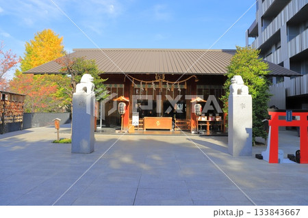赤城神社 新宿区赤城元町 赤城神社 新宿区赤城元町 133843667