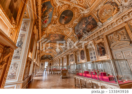 Gallery of Apollon,Le Louvre museum, Paris, France Gallery of Apollon,Le Louvre museum, Paris, France 133843916
