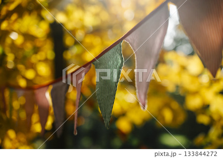 Autumn Celebration Flags on a Sunny October Day Autumn Celebration Flags on a Sunny October Day 133844272