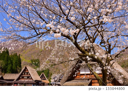 世界遺産 五箇山合掌造り集落 世界遺産 五箇山合掌造り集落 133844800