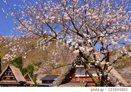 世界遺産　五箇山合掌造り集落 133844802