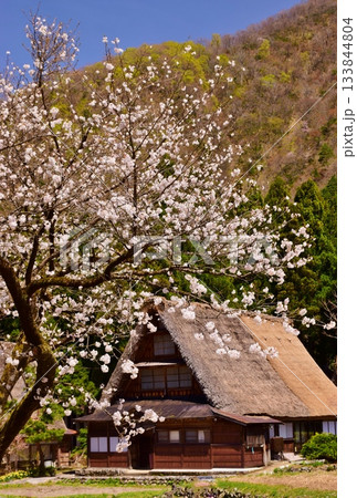 世界遺産 五箇山合掌造り集落 世界遺産 五箇山合掌造り集落 133844804