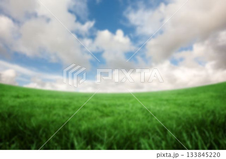 Tranquil view of grassy land 133845220