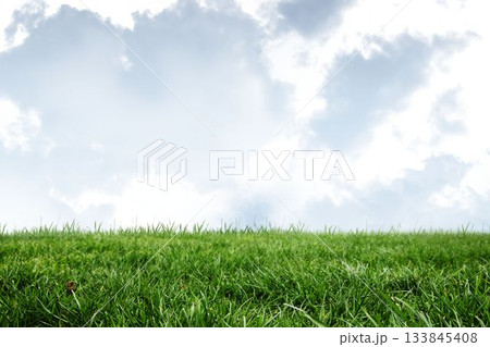 Open grassy field is stretching in flat design, showing grass blades and cloud formations 133845408