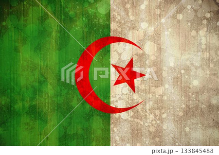 Algeria flag in grunge effect 133845488