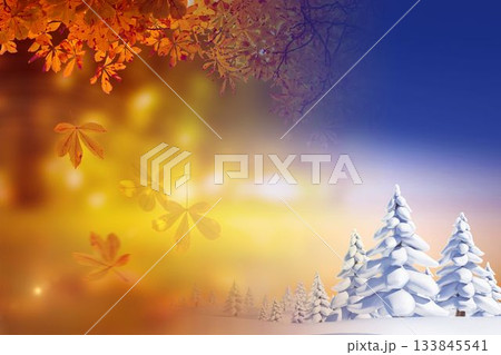 Autumn changing to winter 133845541