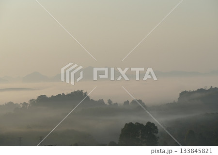 Landscape view of Khao Sok National Park in misty morning, Surat Thani Province, Thailand 133845821