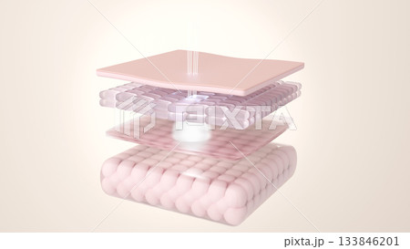 レーザーが肌深層のシミをターゲットに除去する美容医療CGイラスト レーザーが肌深層のシミをターゲットに除去する美容医療CGイラスト 133846201