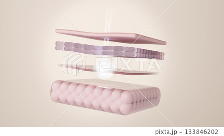 HIFUレーザーがSMAS層をターゲットに刺激し、肌再生を促す美容医療CG HIFUレーザーがSMAS層をターゲットに刺激し、肌再生を促す美容医療CG 133846202