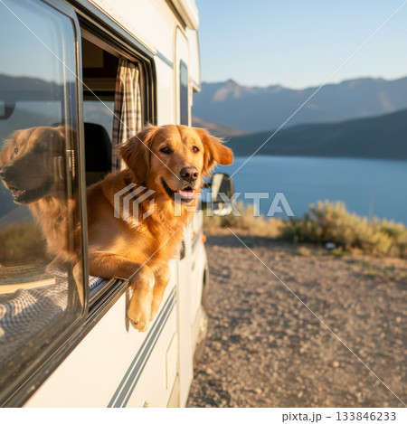 Dog Looking Out from Camper Window Dog Looking Out from Camper Window 133846233
