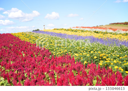 花の丘やくらいガーデン絶景の日　宮城県 133846613
