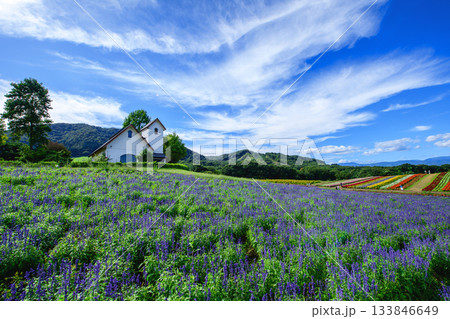花畑の中に建つチャペル やくらいガーデン絶景の日 宮城県 花畑の中に建つチャペル やくらいガーデン絶景の日 宮城県 133846649