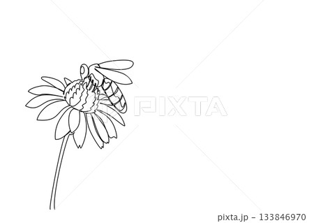 Single continuous line drawing a bee landed on flower. Looking for enough food before returning to the nest in the evening. Just land in a good place World Bee Day. One line design vector illustration Single continuous line drawing a bee landed on flower. Looking for enough food before returning to the nest in the evening. Just land in a good place World Bee Day. One line design vector illustration 133846970
