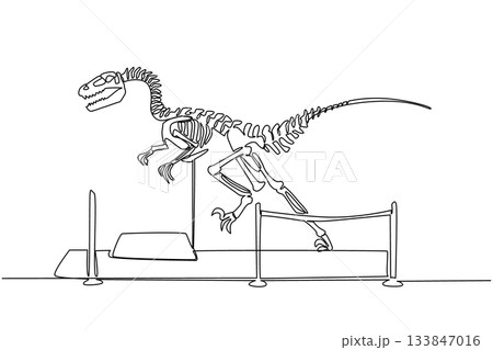 Single one line drawing velociraptor dinosaur skeleton in museum room. Telling about wild animals in the past. Learning tools. International Museum Day. Continuous line design graphic illustration 133847016