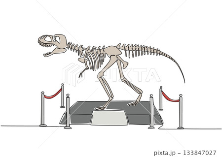 Single continuous line drawing T Rex dinosaur skeleton in museum room. Museum for learning. Get to know ancient animals. Dangerous animal. International Museum Day. One line design vector illustration 133847027