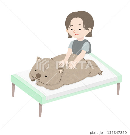 女性マッサージ師からマッサージを受けているウォンバット 133847220