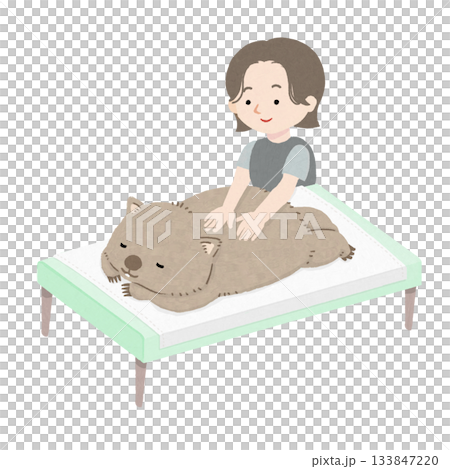 女性マッサージ師からマッサージを受けているウォンバット 133847220