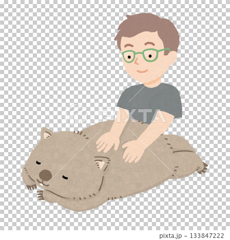 Wombat receiving a massage from a male masseuse Wombat receiving a massage from a male masseuse 133847222