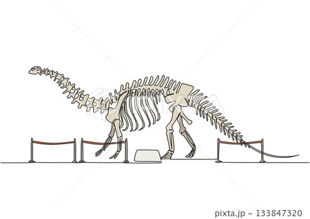 Continuous one line drawing brontosaurus dinosaur skeleton in museum room. Getting to know anatomy of predatory animal in the past International Museum Day. Single line draw design vector illustration 133847320